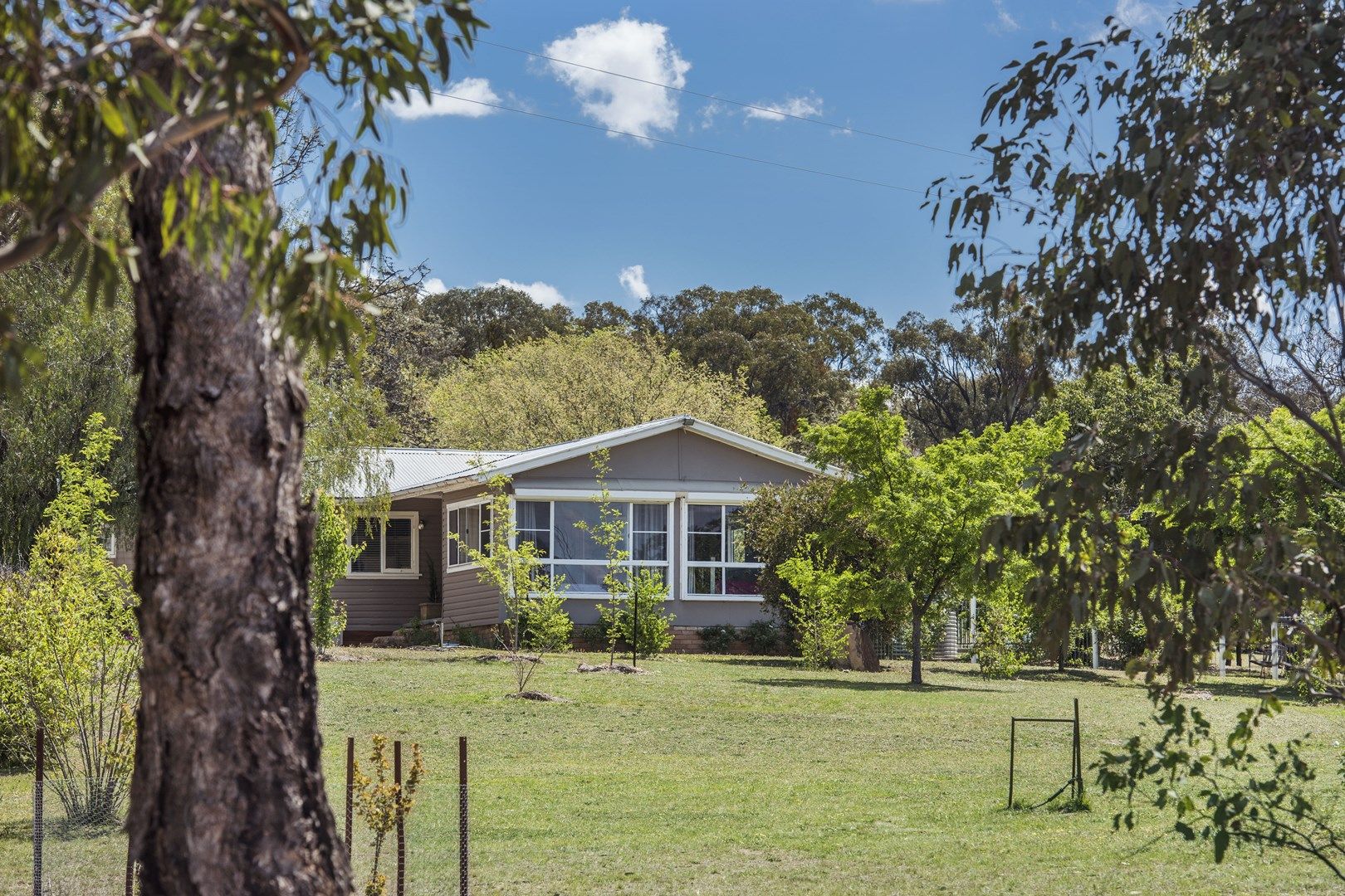 83 Adelong Road, Gulgong NSW 2852, Image 1