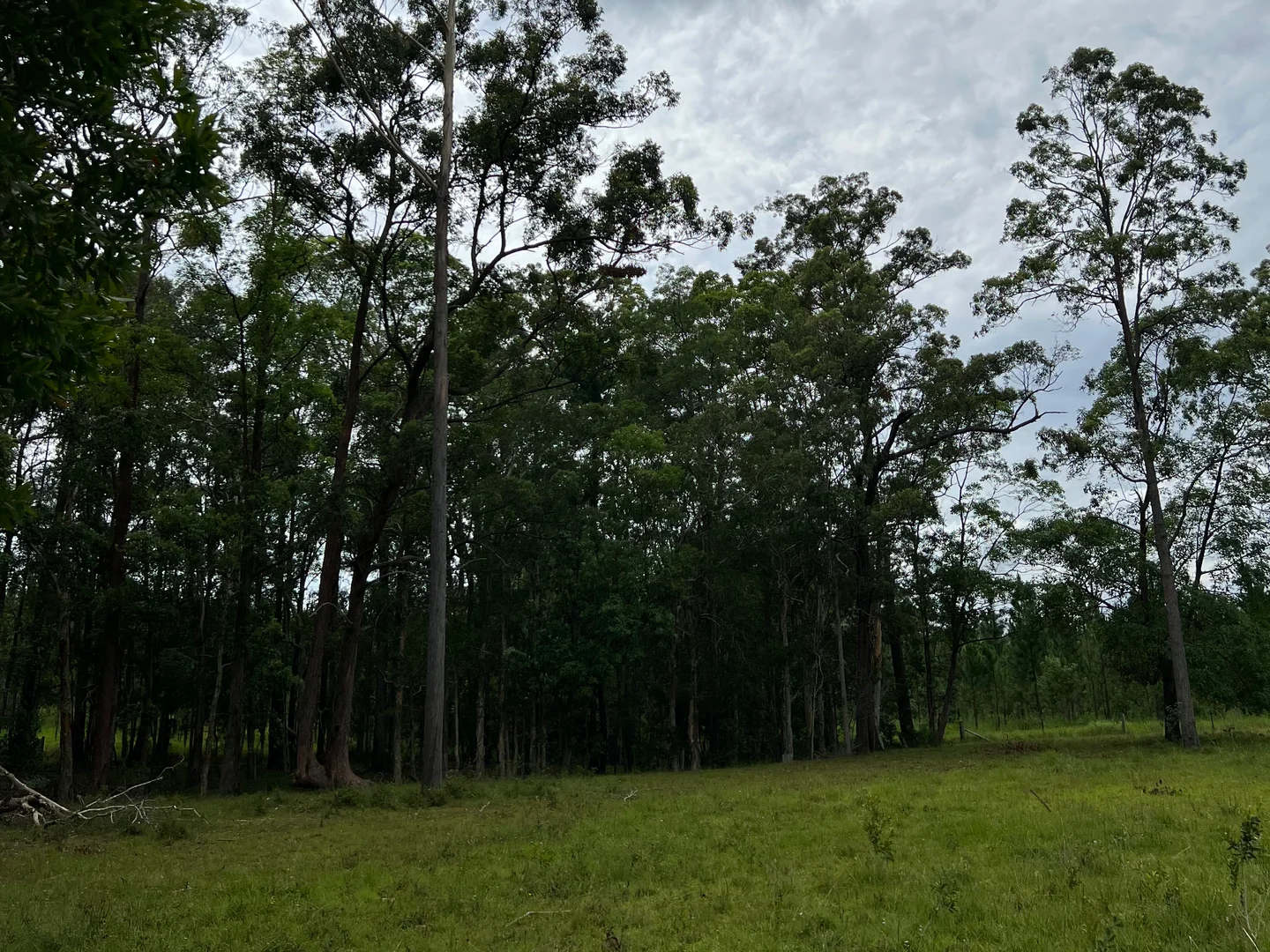 72 Peterson Road, Woodford QLD 4514