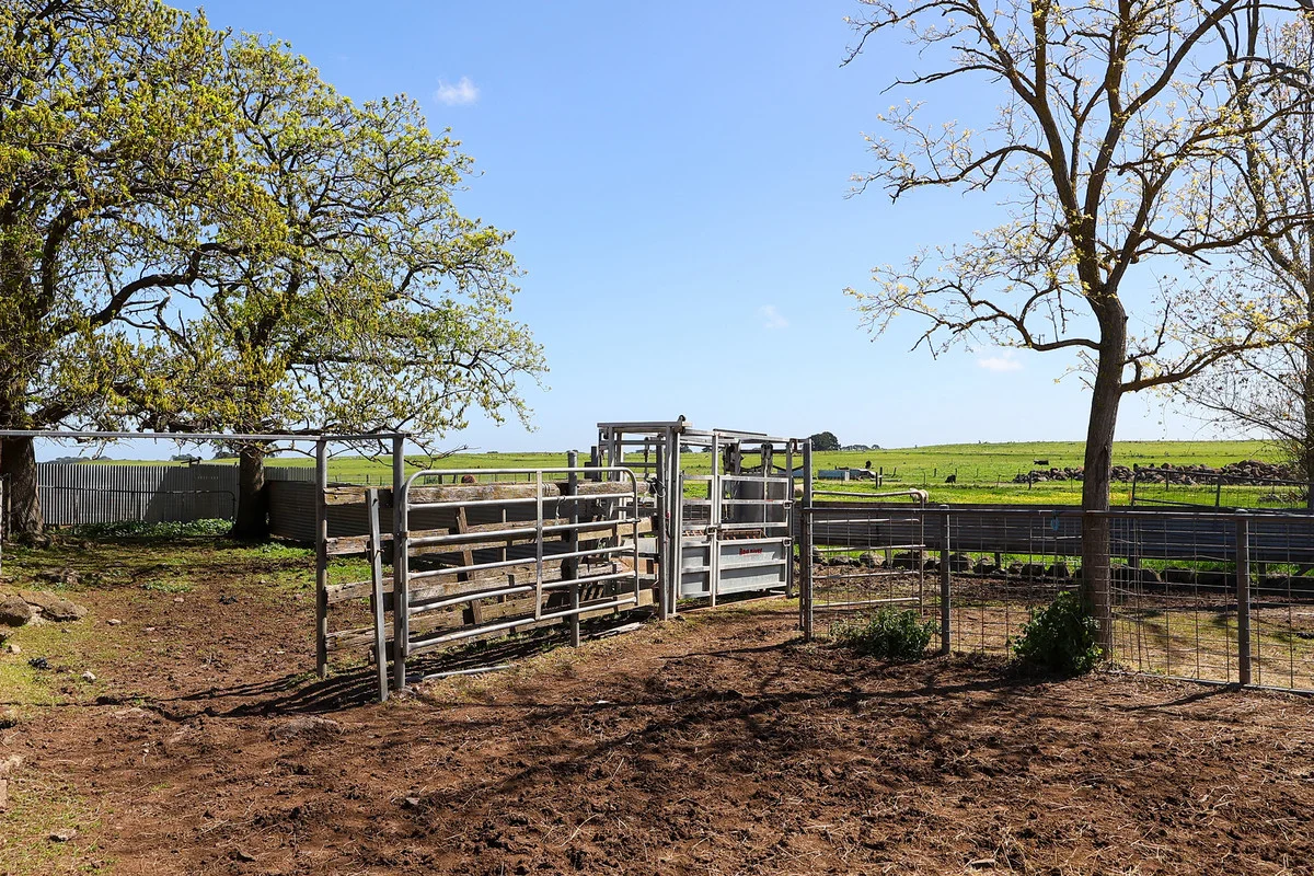 Additional image 21 of 170 Allans Road, Framlingham VIC 3265