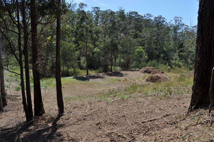 LOT 3 Echidna Rd, Valla NSW 2448, Image 2