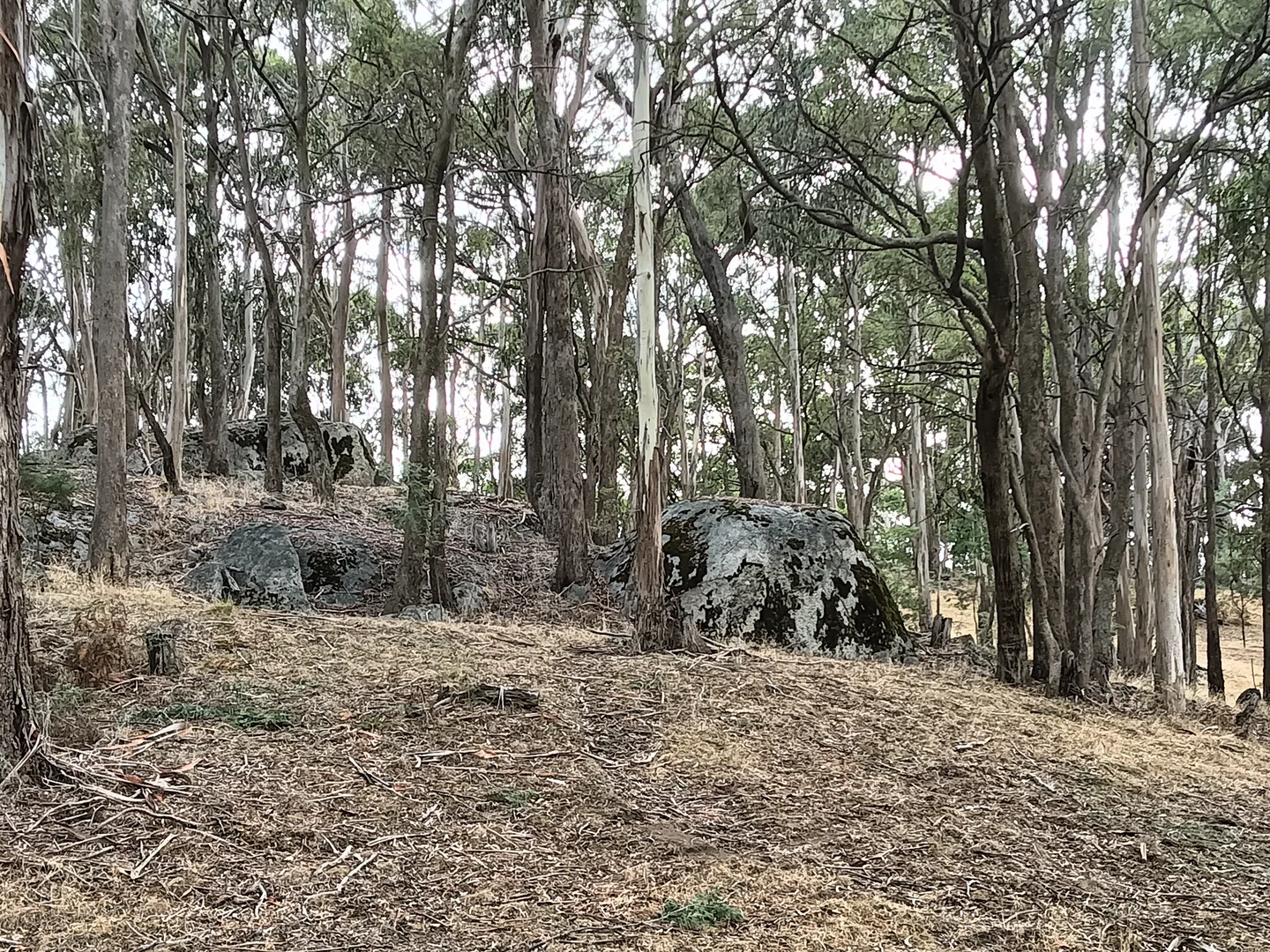 Image 21
