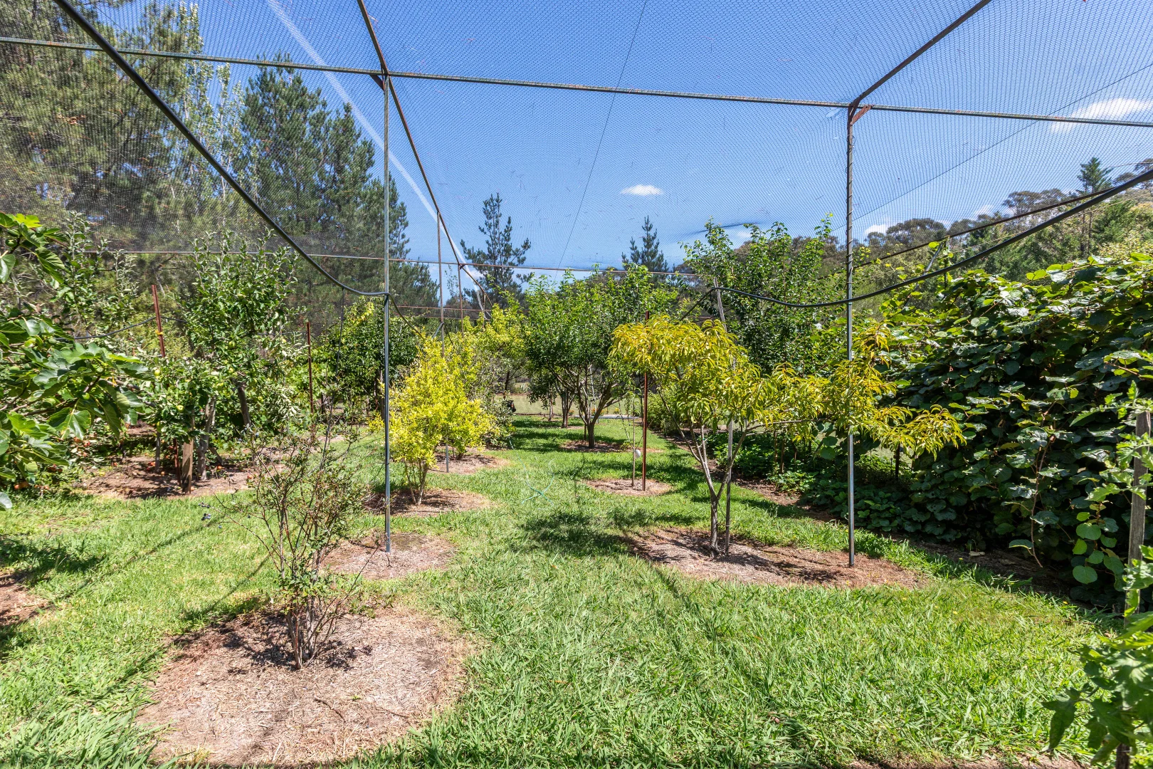 Additional image 11 of 618 New Buildings Road, Wyndham NSW 2550