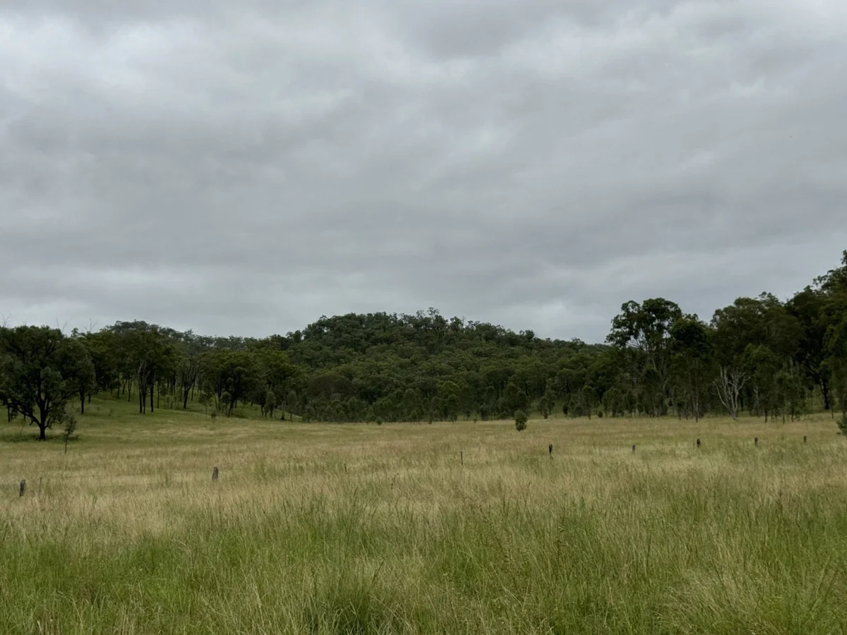 Additional image 21 of 1609 Monal Road, Monto QLD 4630