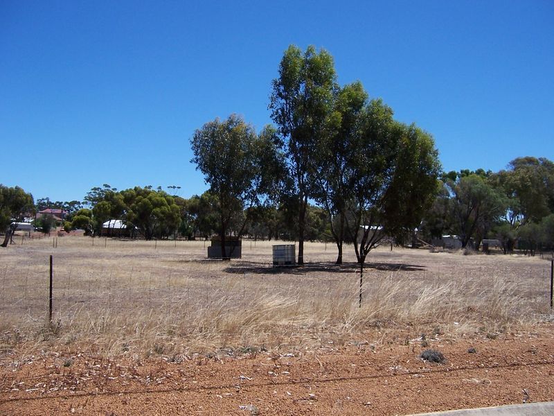 394 Costelloe Street, Wagin WA 6315, Image 1