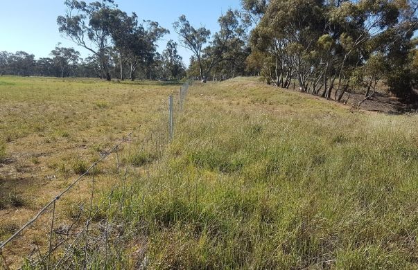 20 Reserve Road, Nhill VIC 3418 - Vacant Land for Sale | Domain