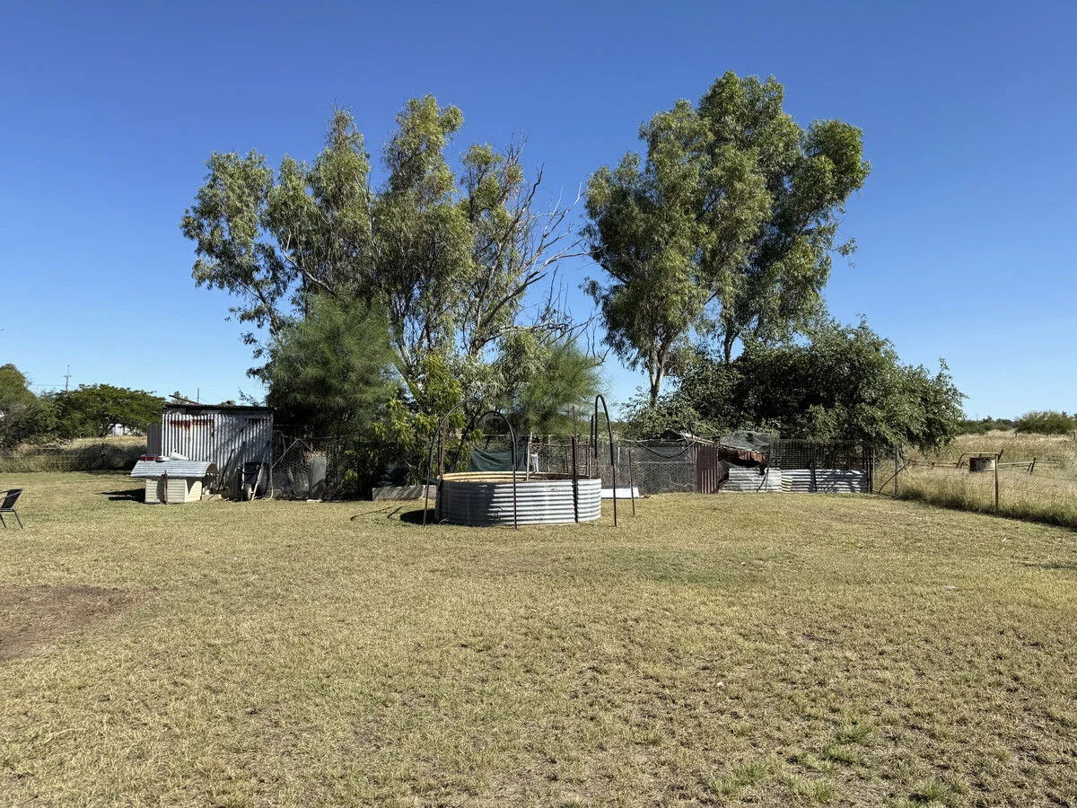 Image 23