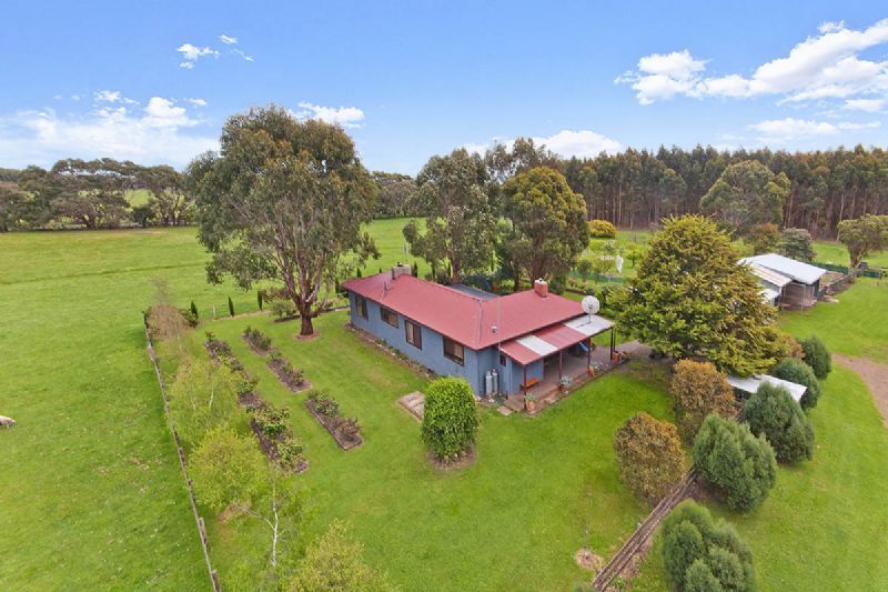 498 Codrington- Bessiebelle Rd, Codrington VIC 3285, Image 0