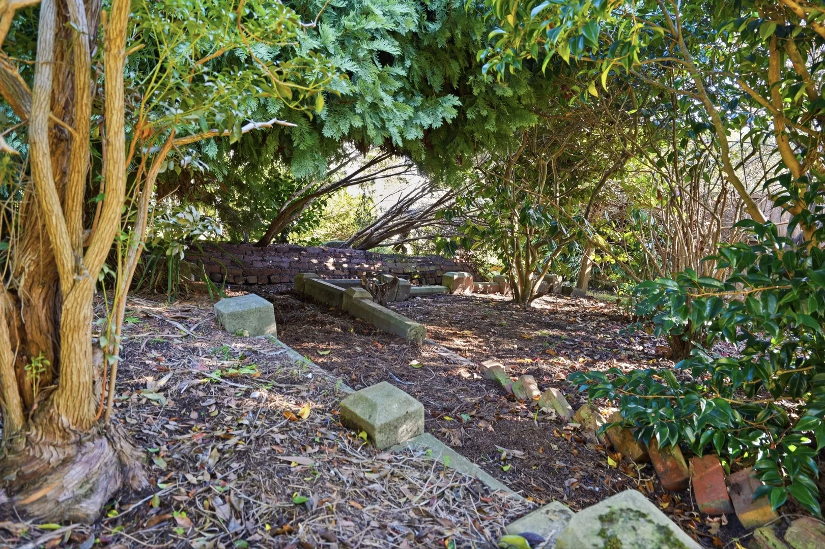 Image 21