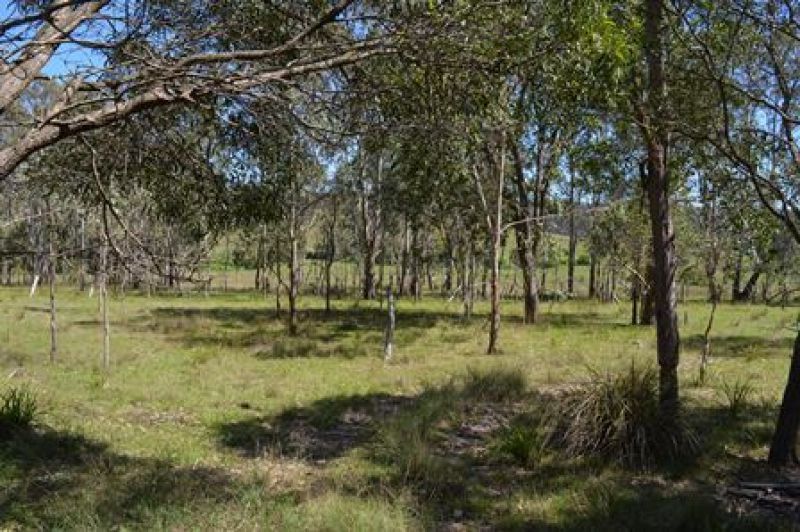 Lot 1 Mt Lindesay Road, Killarney QLD 4373, Image 1