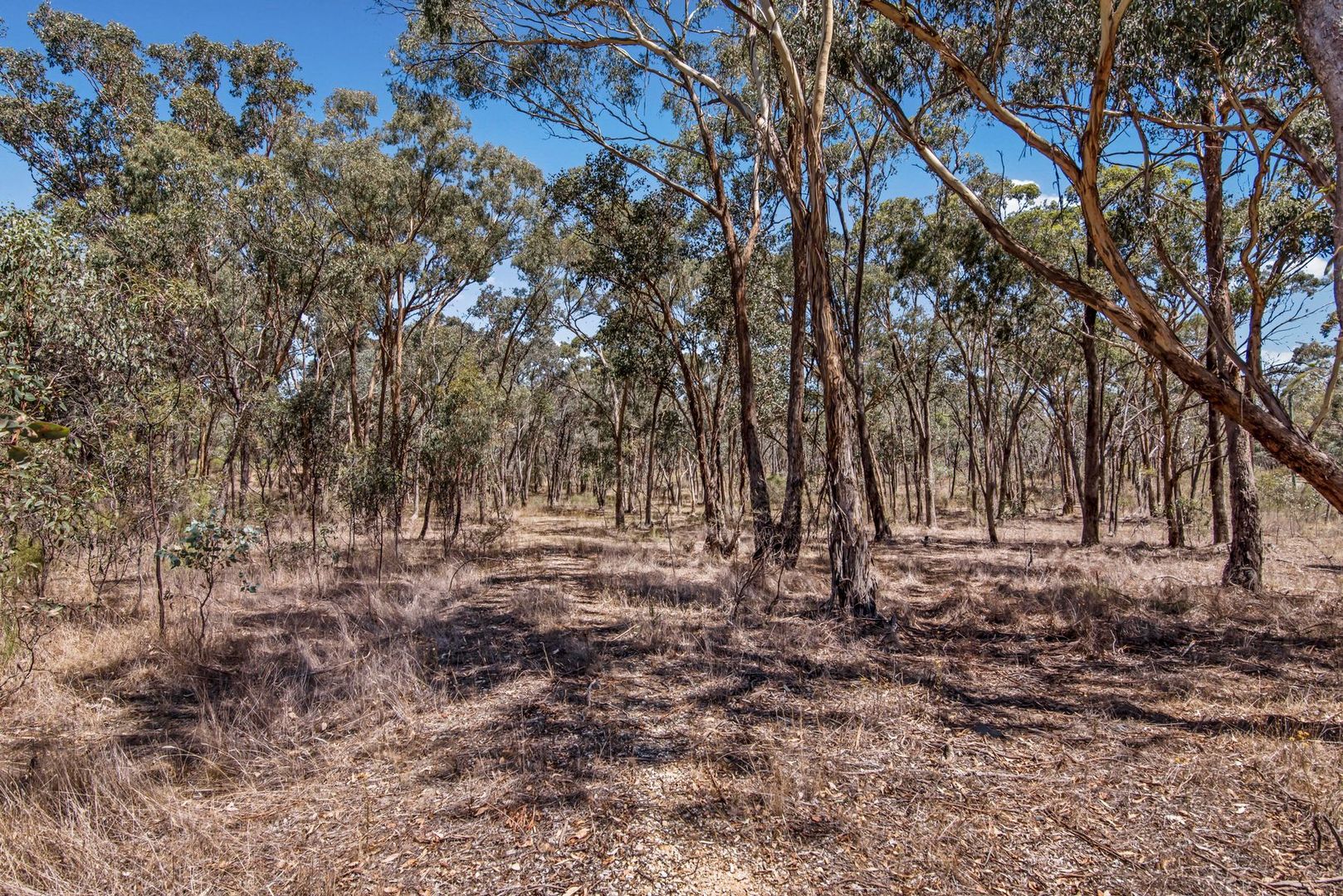 Lot 1 Connellys Road, Mandurang VIC 3551, Image 2