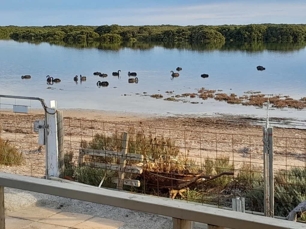 Additional image 20 of Lot 1786 The Esplanade, Middle Beach SA 5501