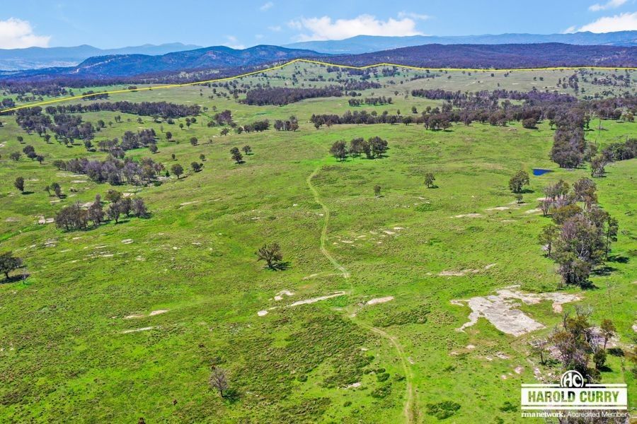 517B Bungulla Platform Road, Tenterfield NSW 2372, Image 1