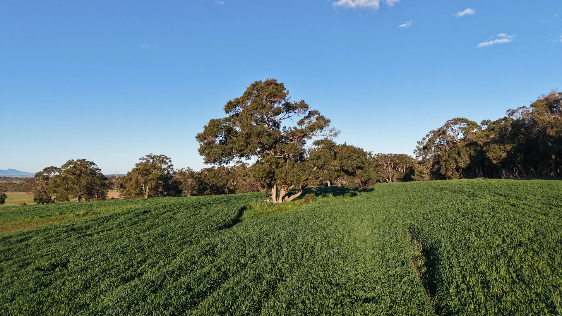 Image 13