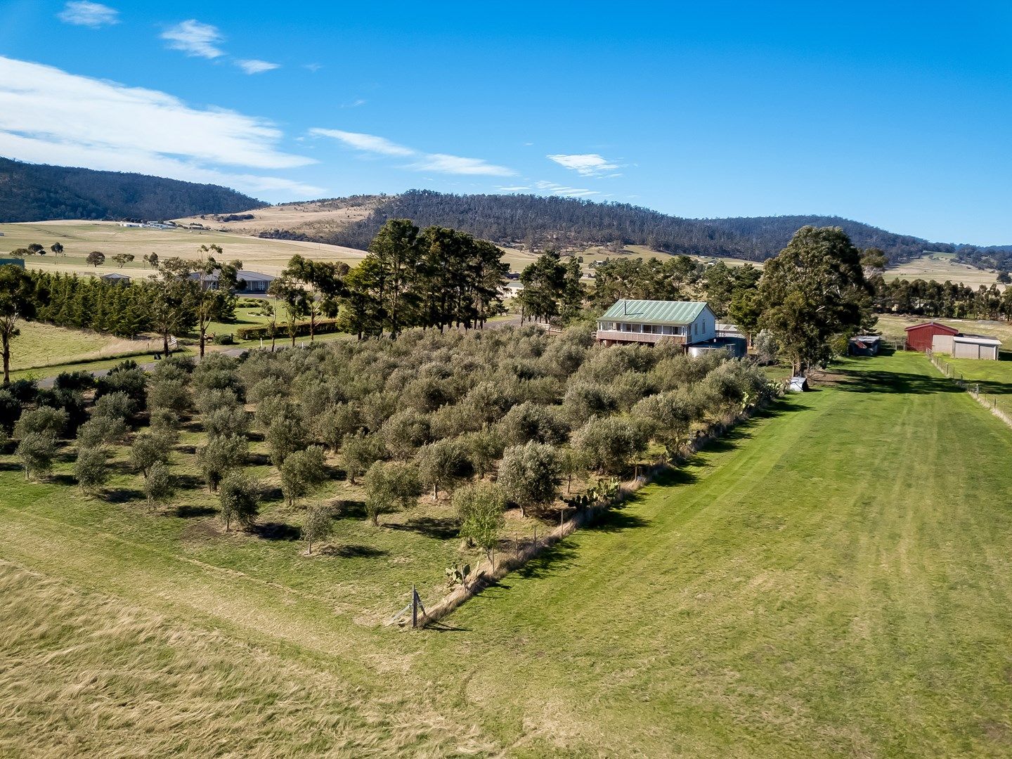 62 Greens Road, Orielton TAS 7172, Image 0