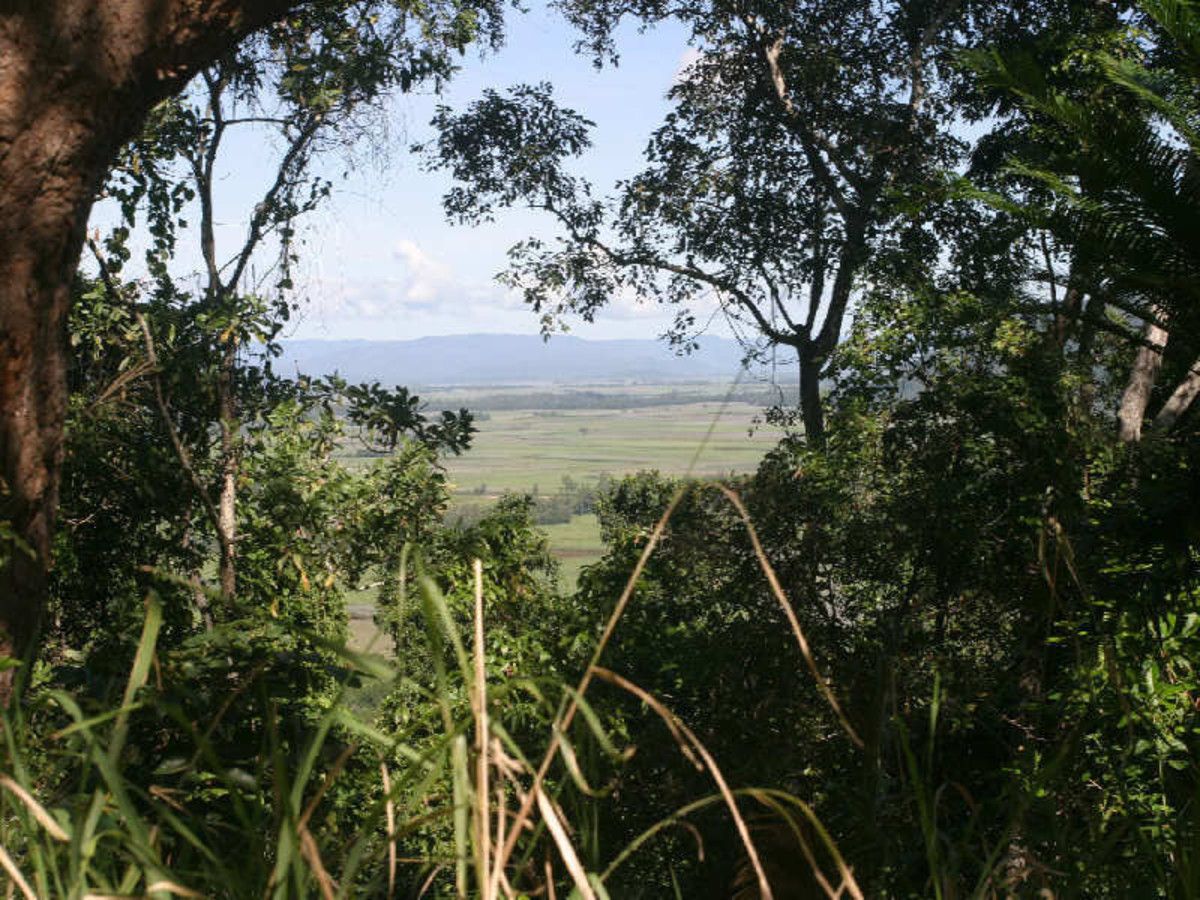 Lot 3 Mount Cudmore Road, Bemerside QLD 4850, Image 2