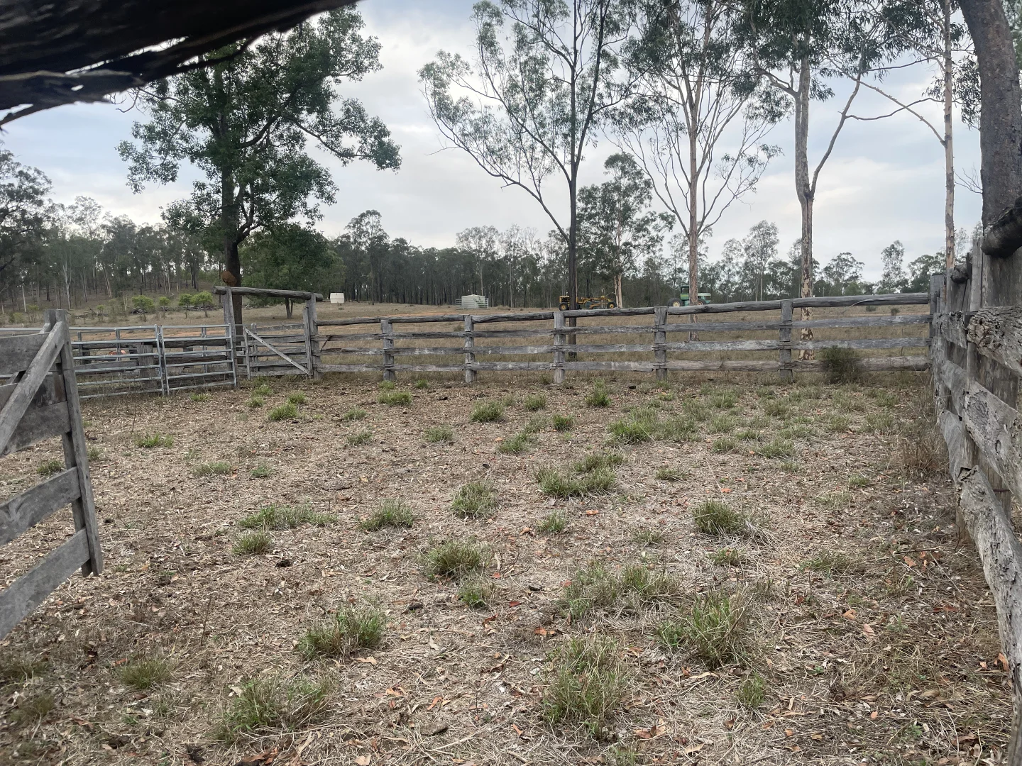 Image 12
