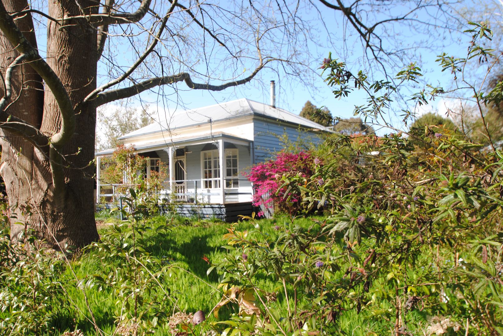 Property Report For 6 Ridgway Mirboo North Vic 3871