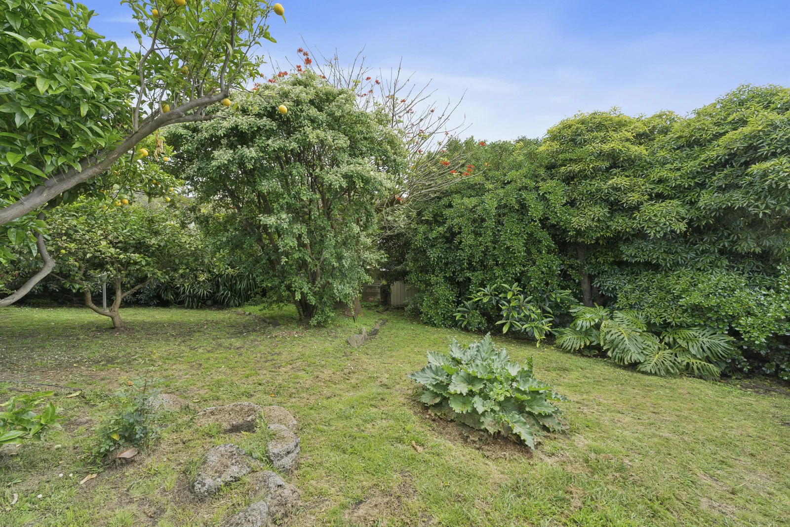 Image 14