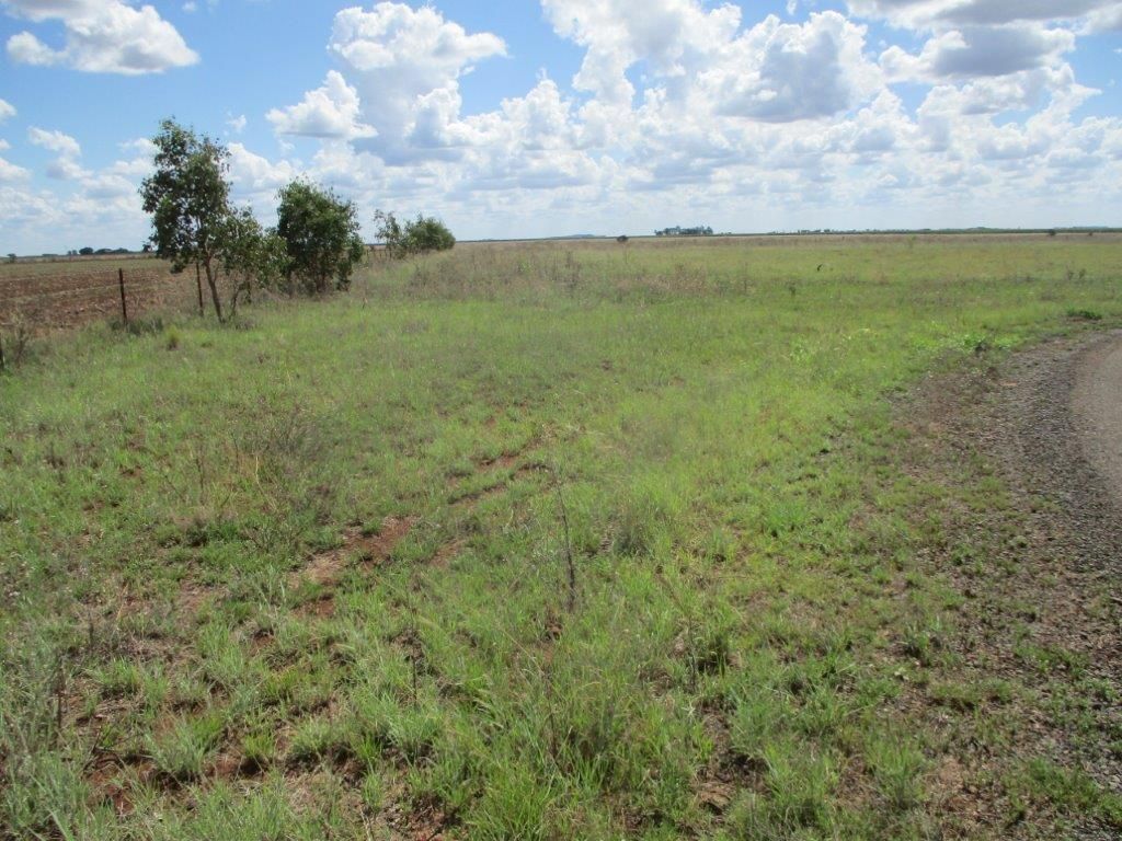 78 ACRES GRAZING / FARMING, Aubigny QLD 4401, Image 2