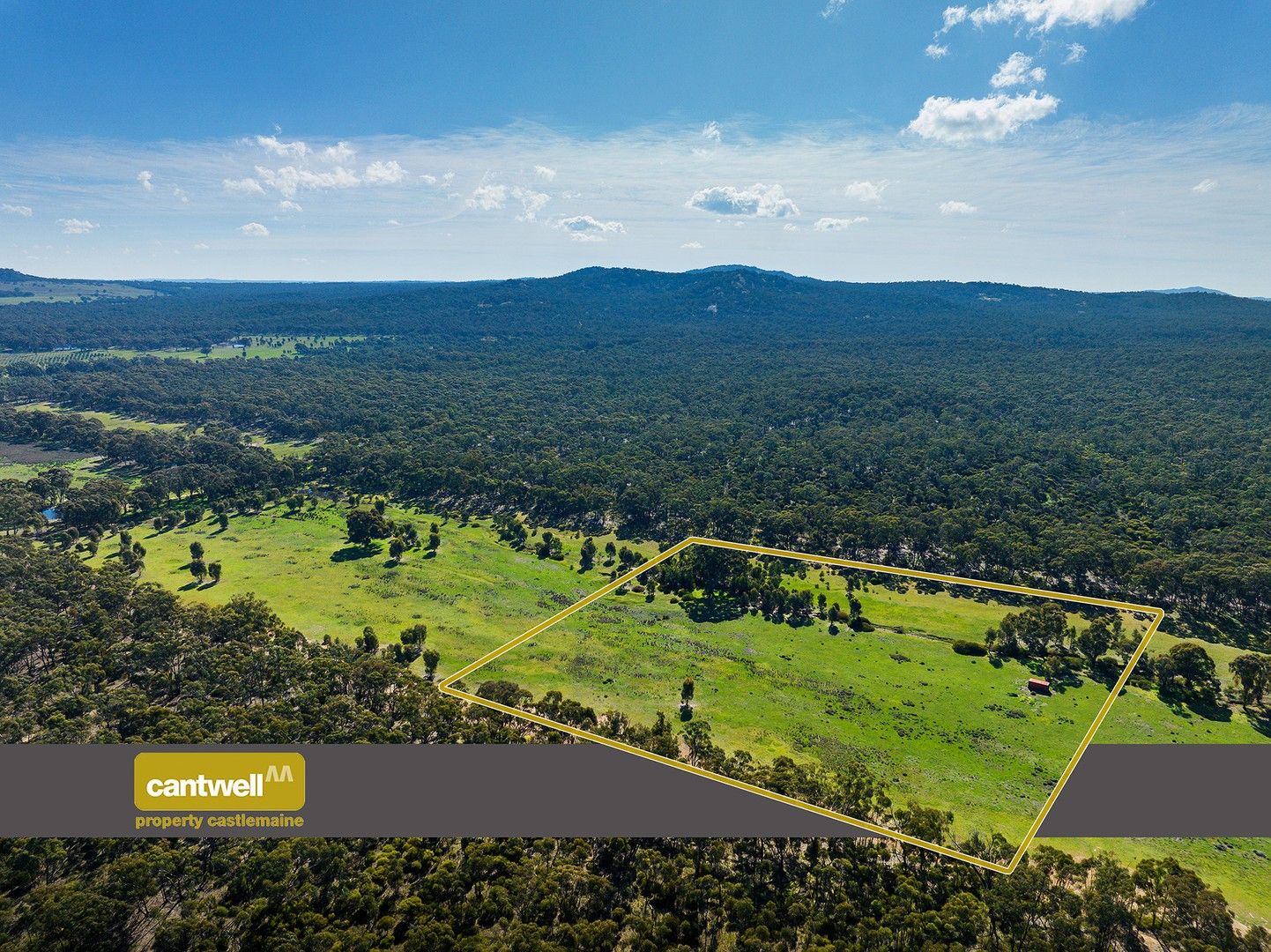 CA7 Sec 1 Inglewood-Rheola Road, Rheola VIC 3517, Image 0