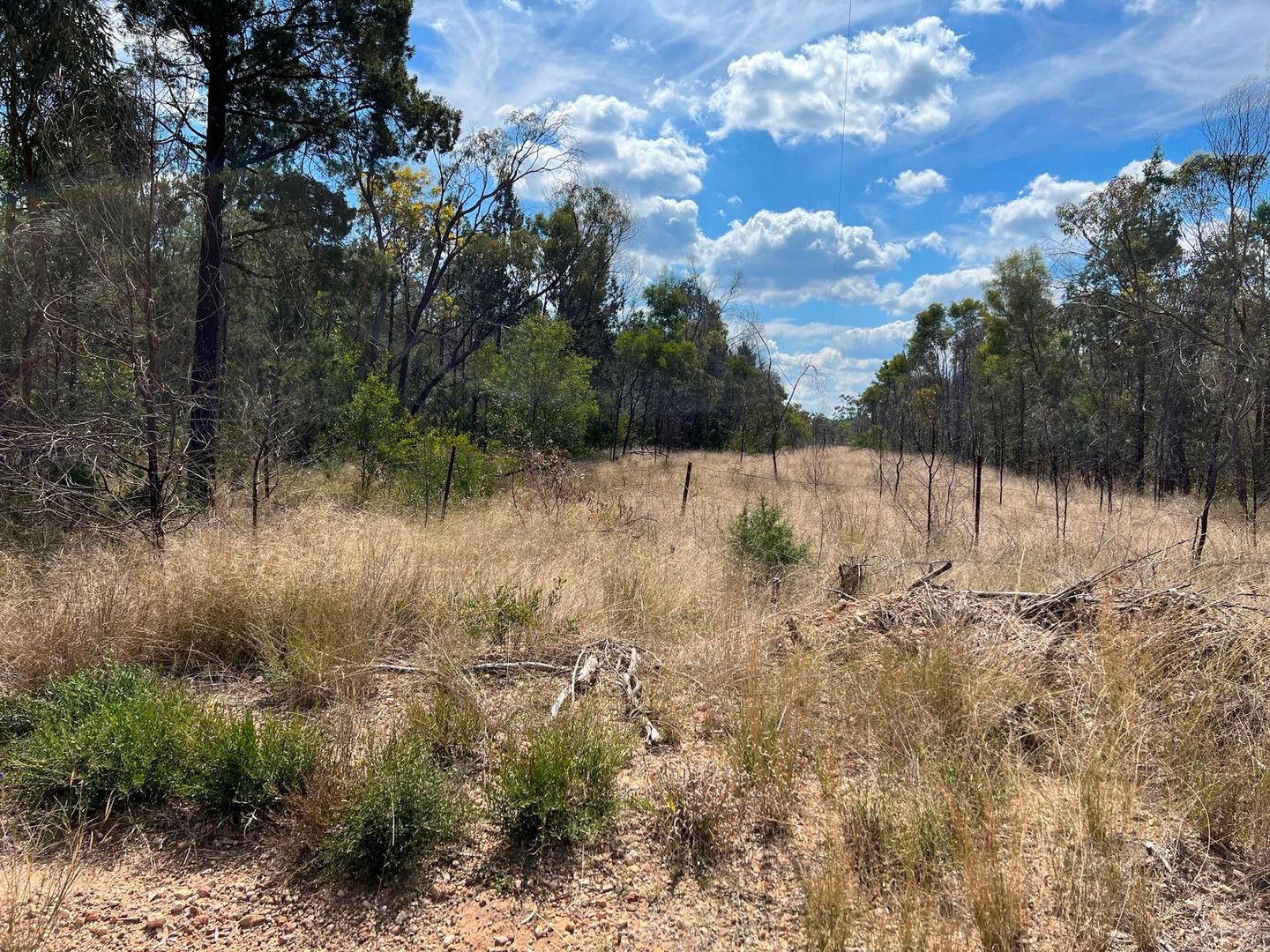 Lot 40 South Road, Tara QLD 4421, Image 1