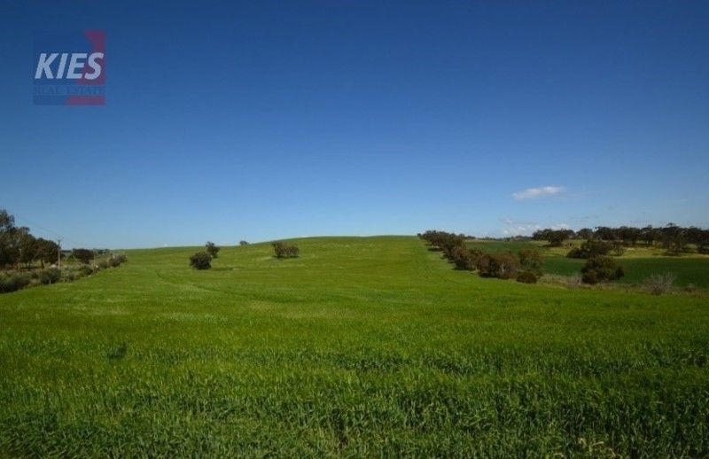 Cockatoo Valley SA 5351, Image 0