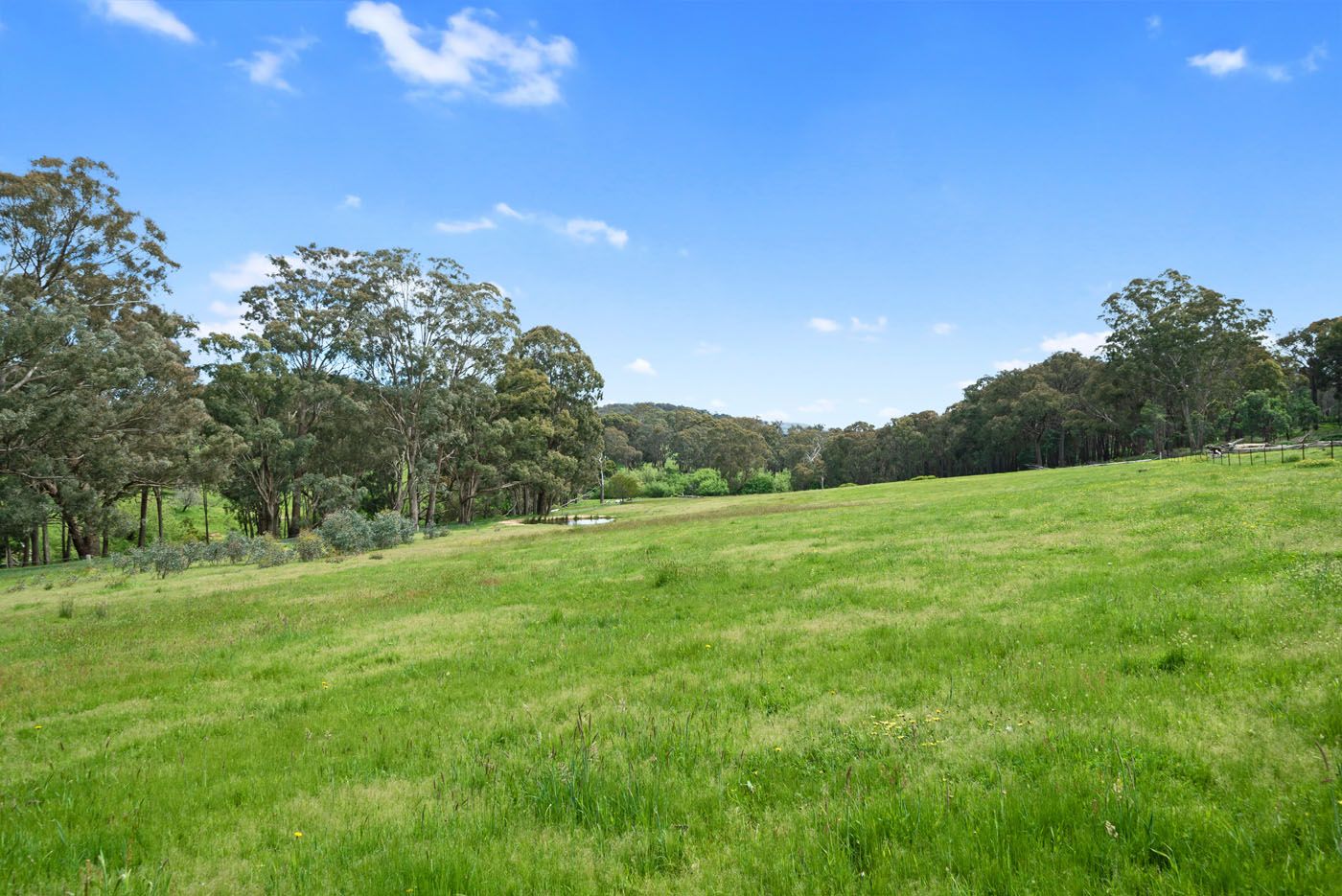 1715 Harrys Creek Road, Marraweeney VIC 3669, Image 1