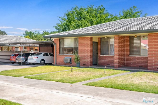 Picture of 5/51 Phillis Street, MAYLANDS SA 5069