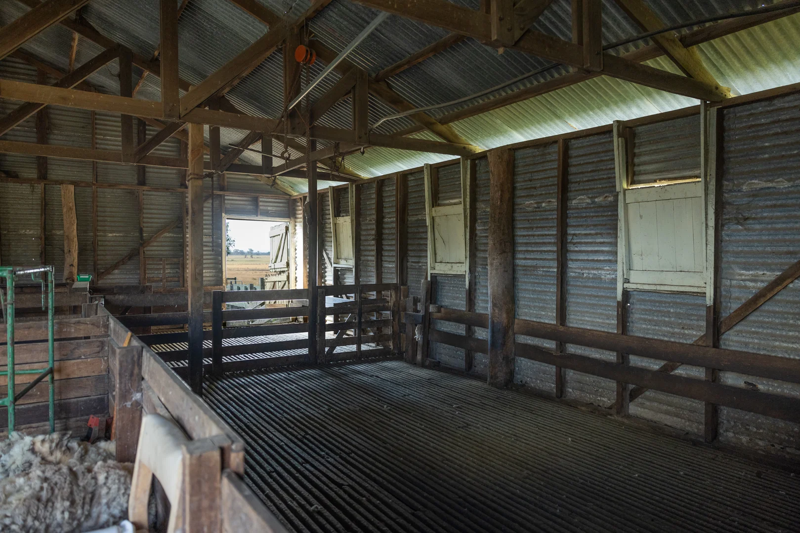 Image 7
