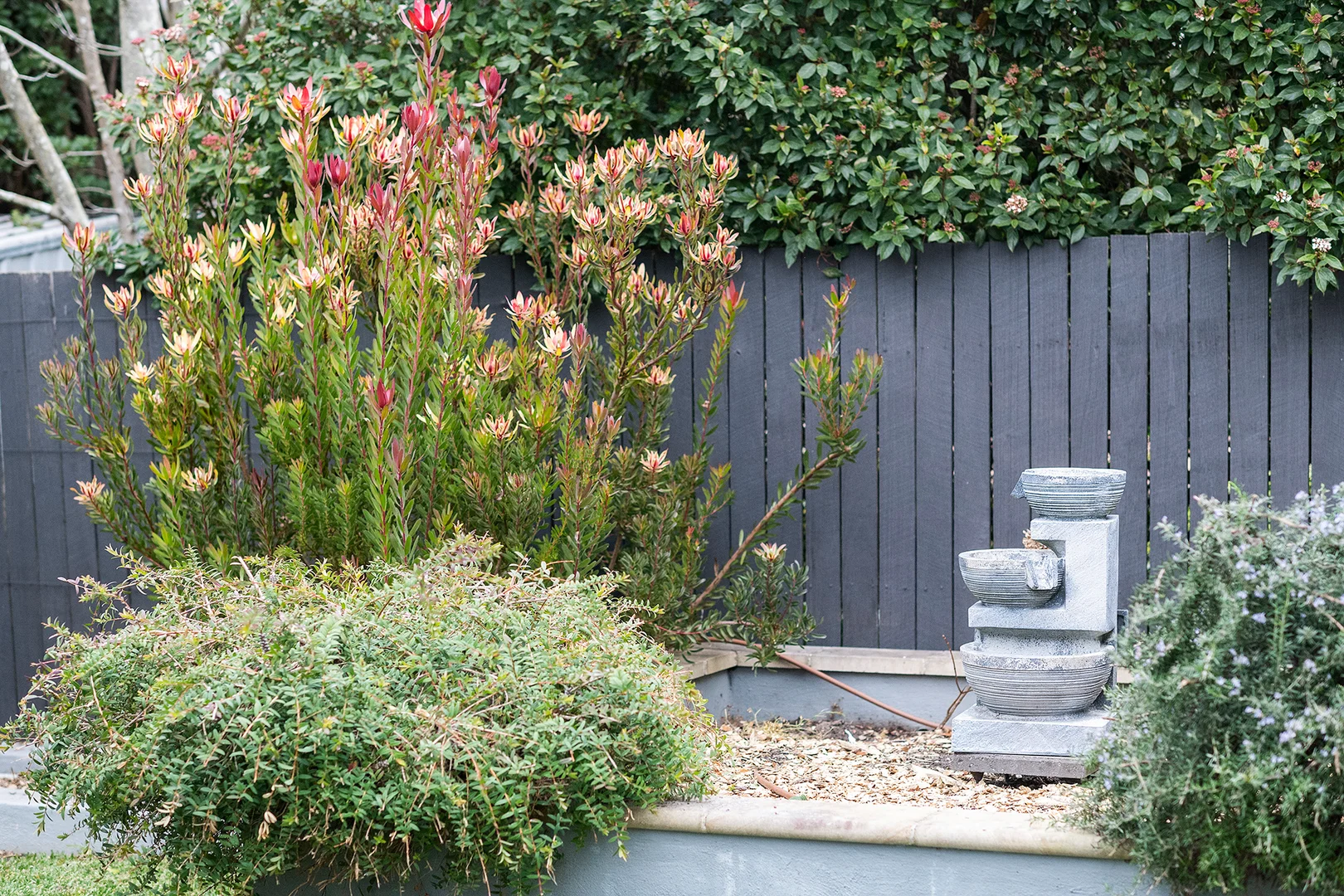 Image 17
