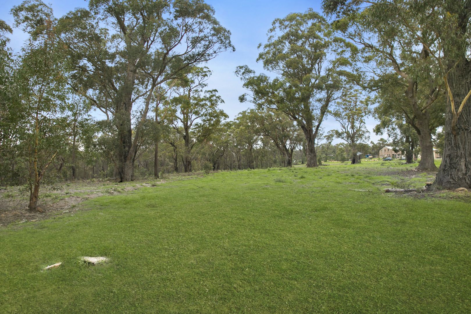 176 Crawford Road, Alpine NSW 2575, Image 2