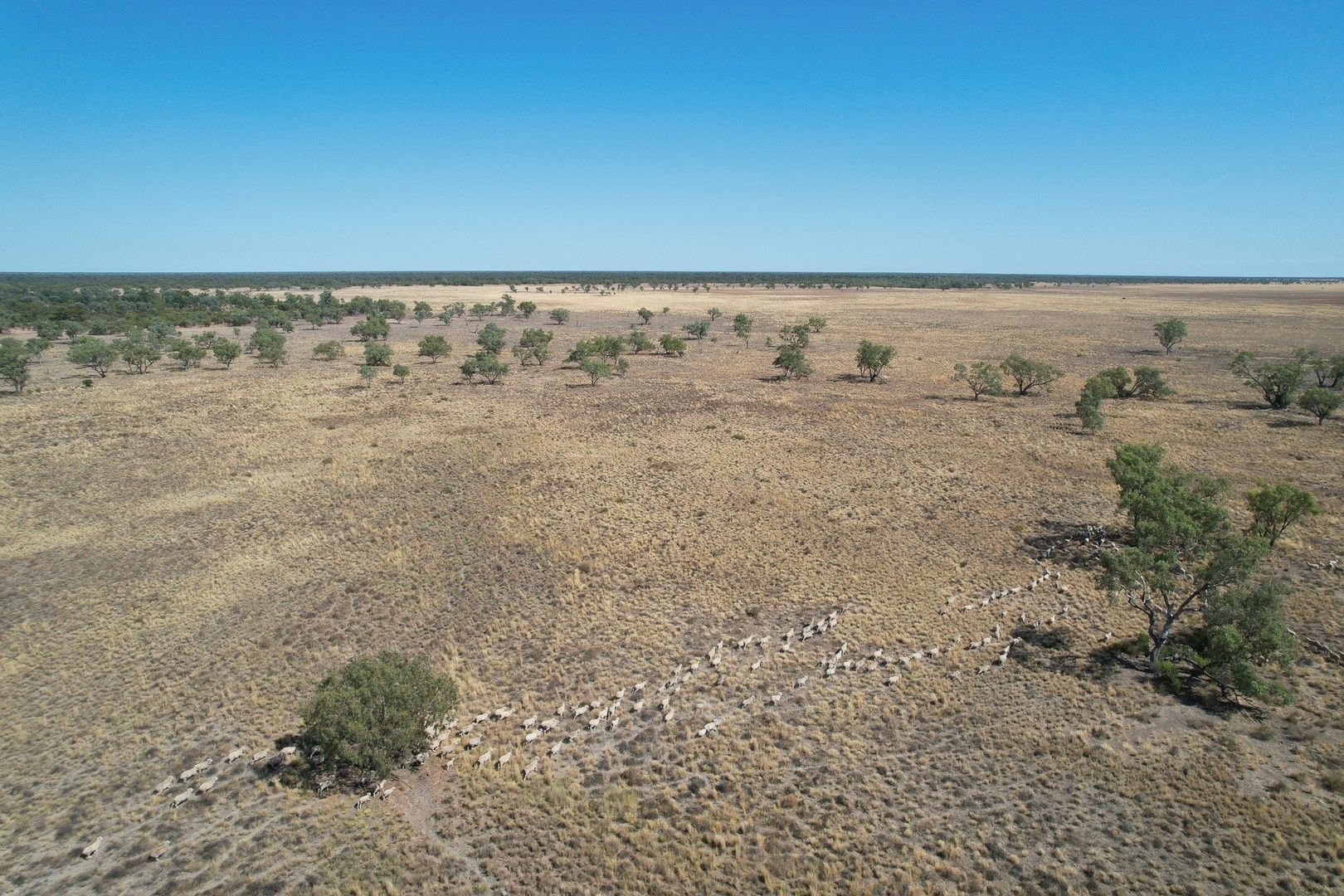 4 bedrooms Rural in Tarwoona Downs, 1906 Burrawantie Road ENNGONIA NSW, 2840