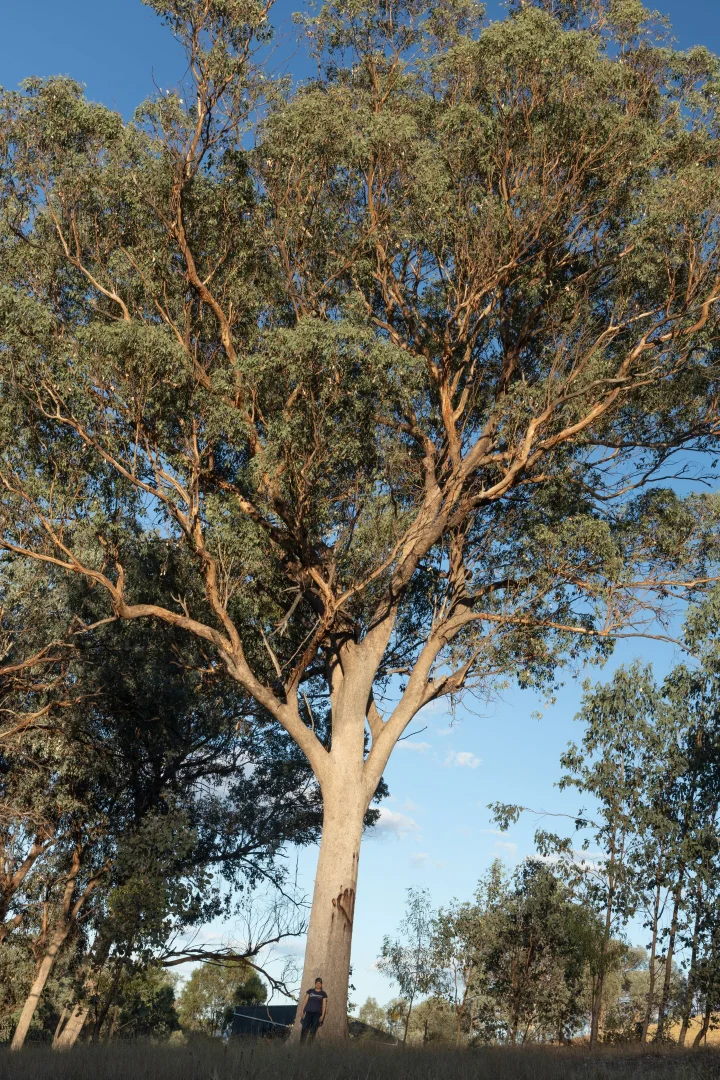 Additional image 21 of 189 Coyles Road, Wodonga VIC 3690