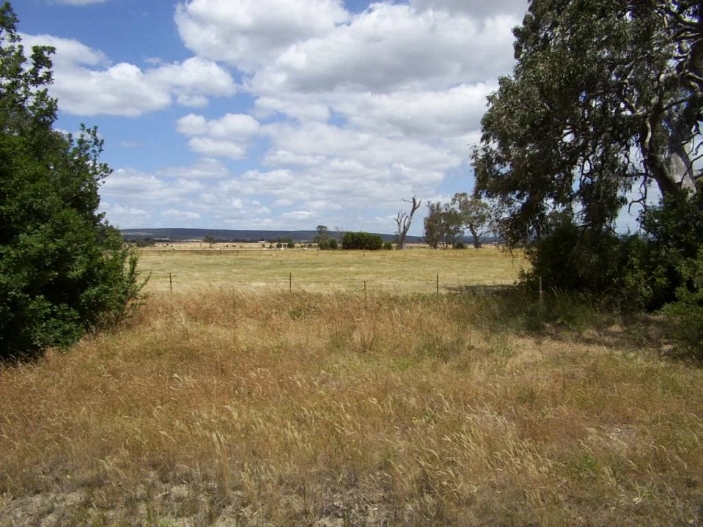 Image 14