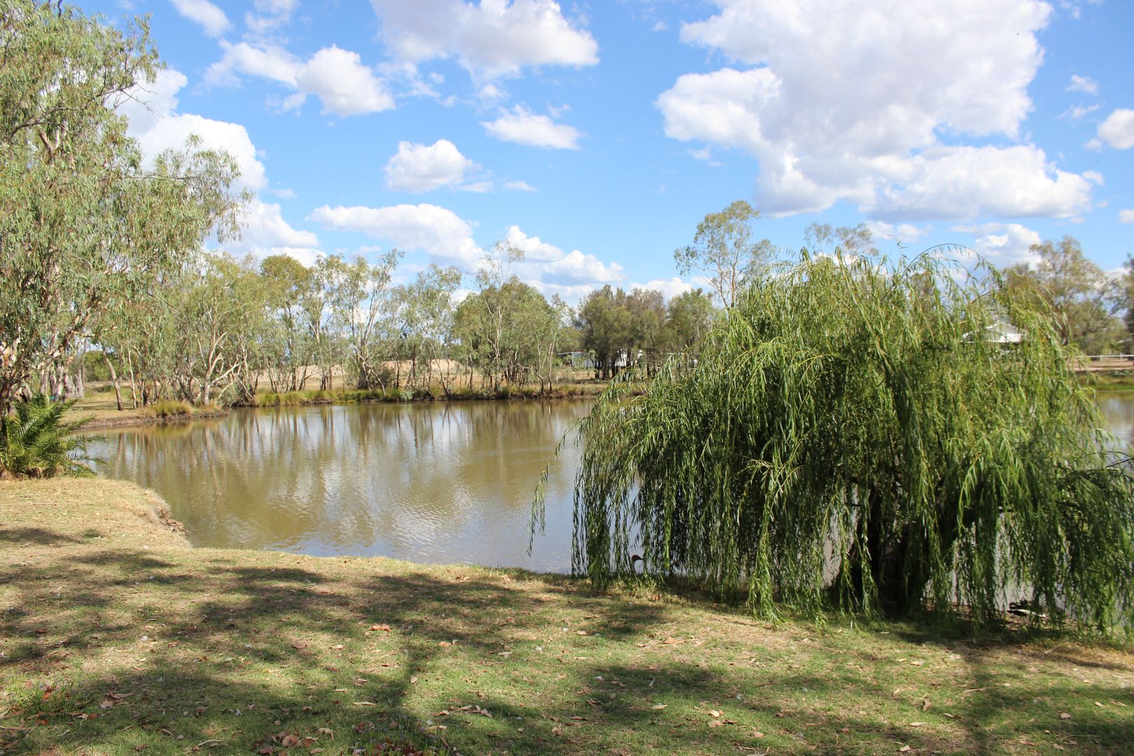 27 Lagoon Street, Yelarbon QLD 4388 Domain