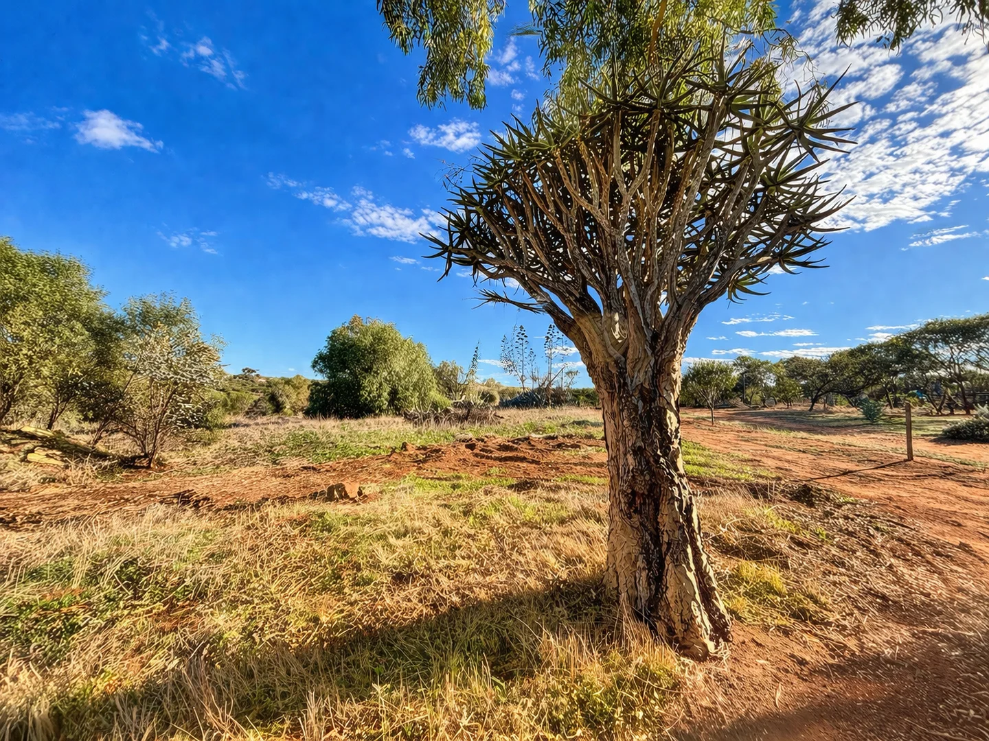 Additional image 5 of 46 Bateman Street, Northampton WA 6535