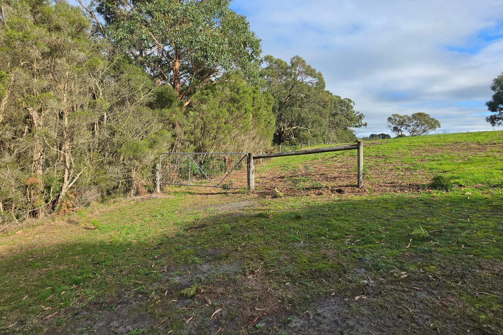 Image 19