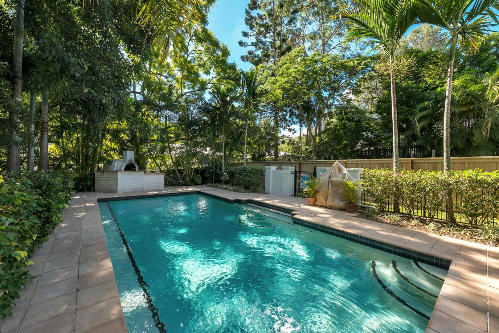 85 Oleander Drive, Ashgrove QLD 4060, Image 2