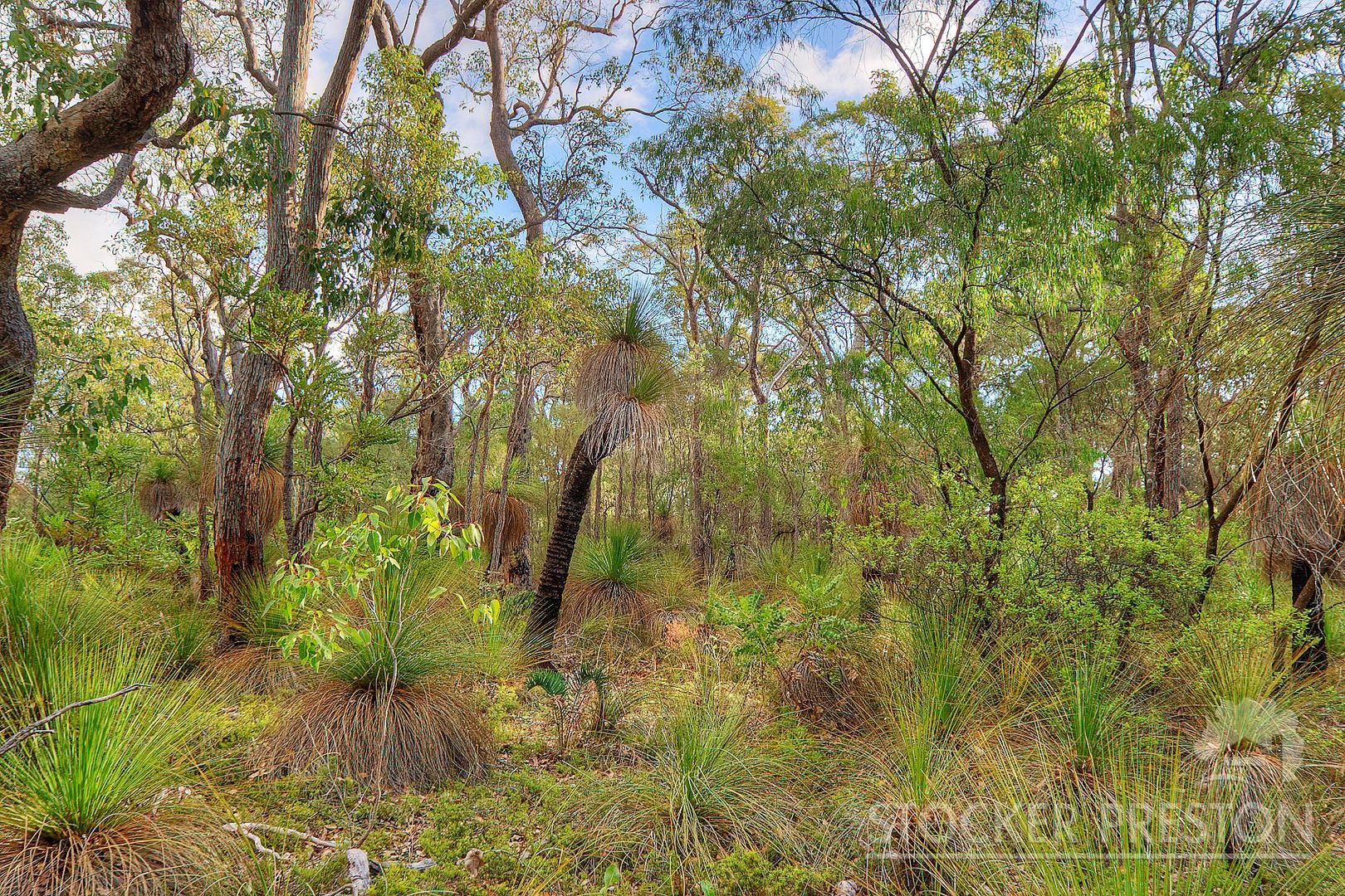 Lot 27 Shallows Loop, Yallingup WA 6282, Image 1