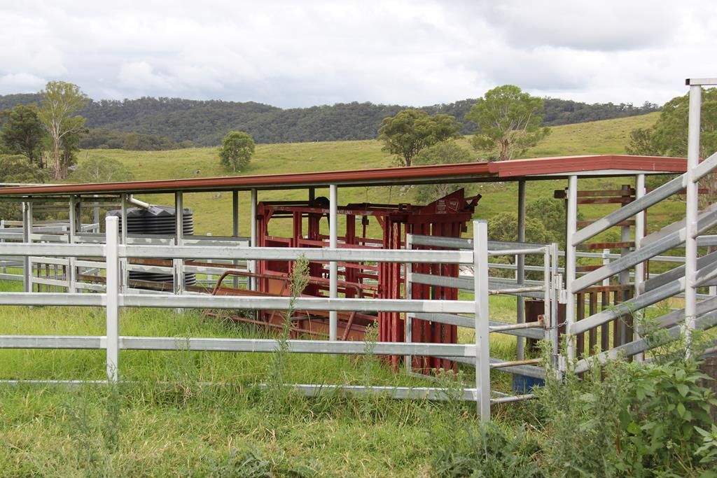 1091 Timbarra Road, Tenterfield NSW 2372, Image 2