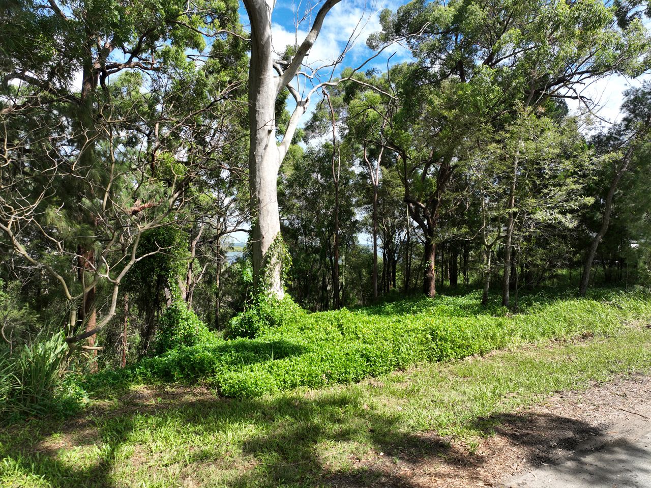 1-3 Coast Road, Macleay Island QLD 4184, Image 2
