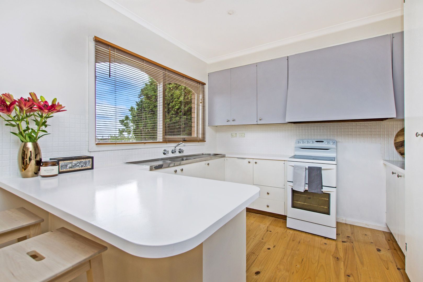 19 Aberdeen Street, Portland VIC 3305, Image 1