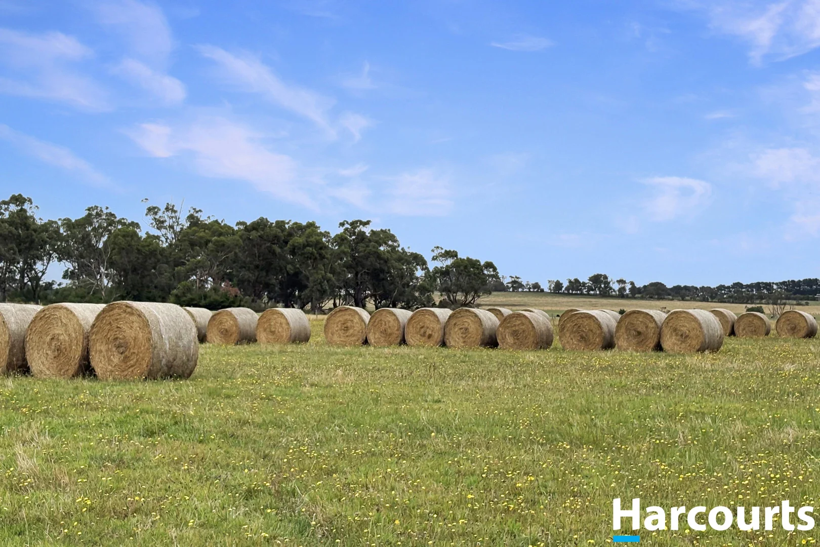 Additional image 5 of 210 Frys Road, Leongatha South VIC 3953