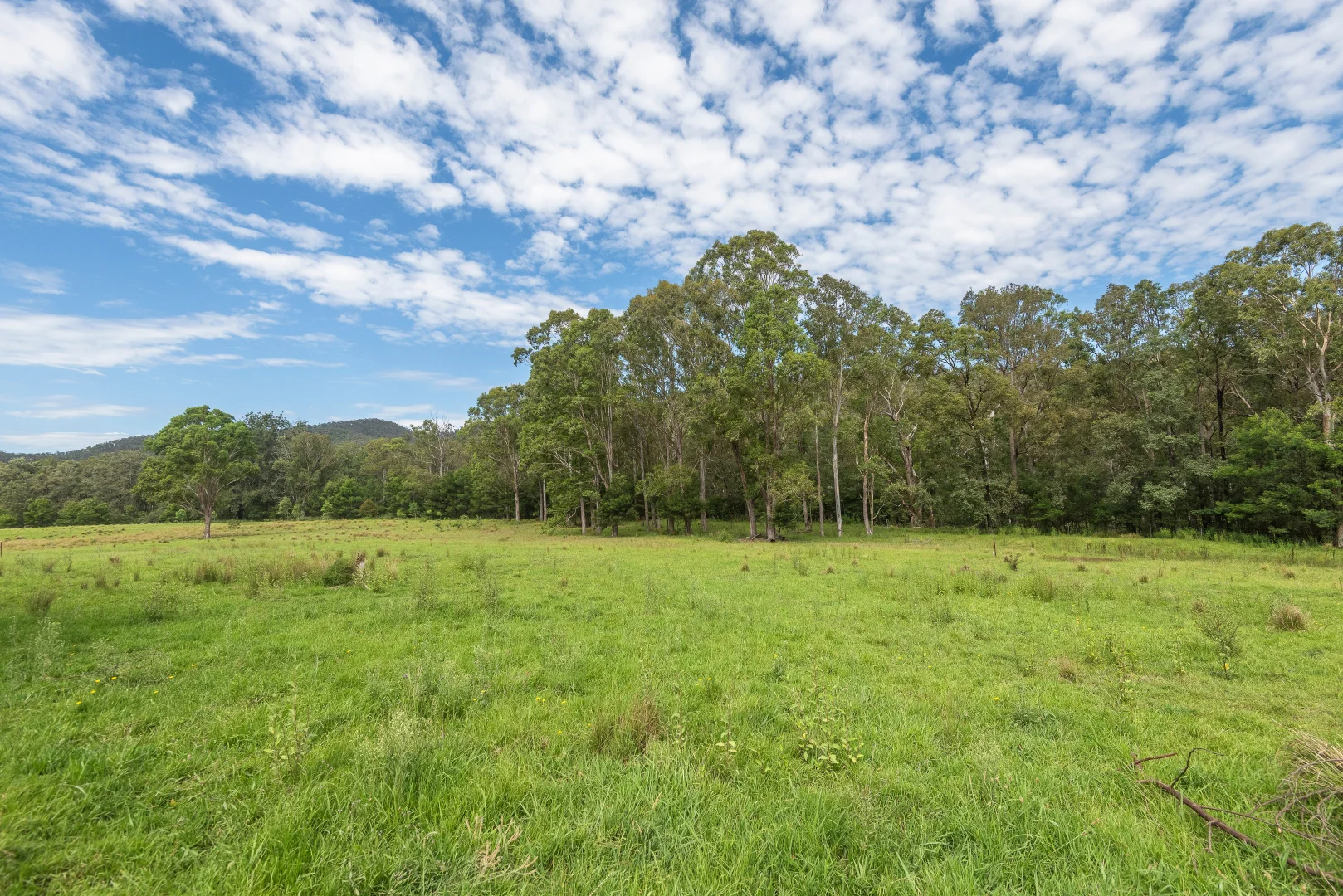 Additional image 12 of 2488 Araluen Road, Deua River Valley NSW 2537