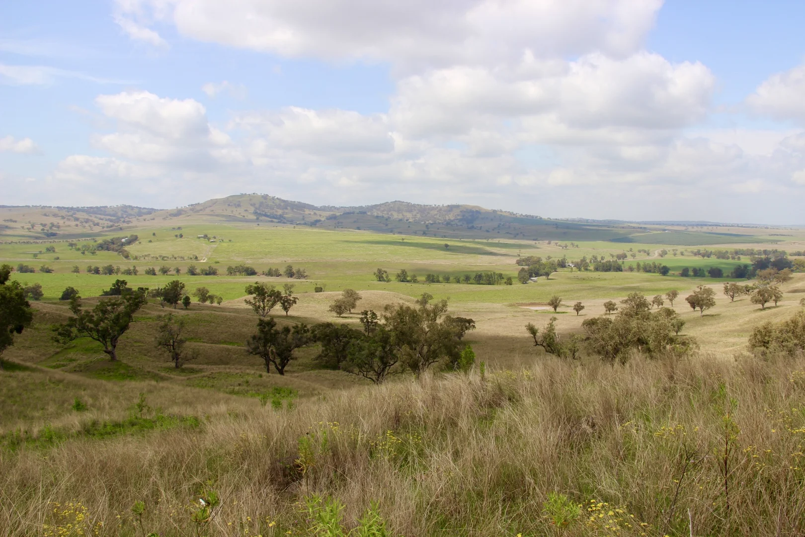 Additional image 7 of "Gummun" Coulsons Creek Road, Merriwa NSW 2329