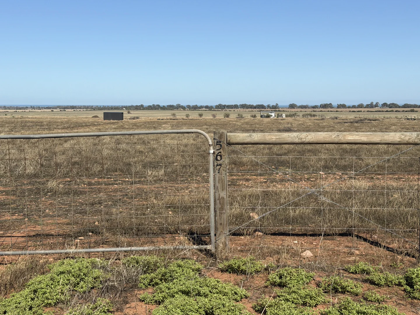 Additional image 3 of Lot 567 Telowie Road, Telowie SA 5540