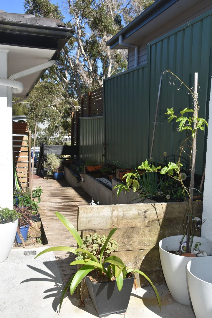 Image 12