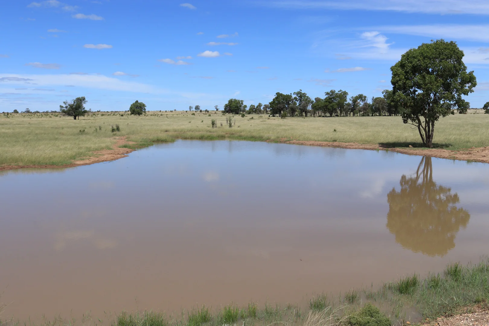 Additional image 15 of 952 Yuleba Surat Road, Yuleba QLD 4427