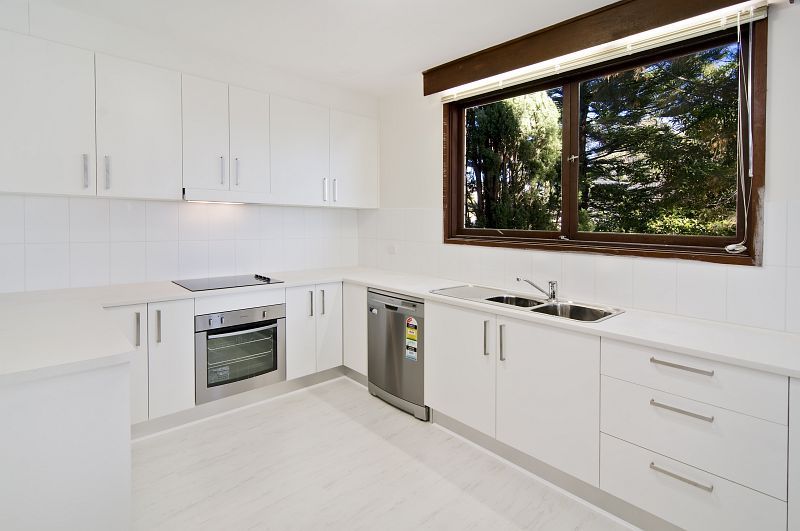 45 Killarney Drive, Killarney Heights NSW 2087 House For Rent Domain