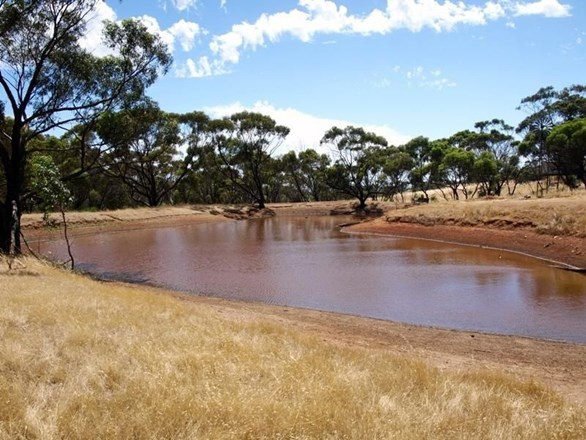 241 Harders Chitty Road, West Toodyay WA 6566